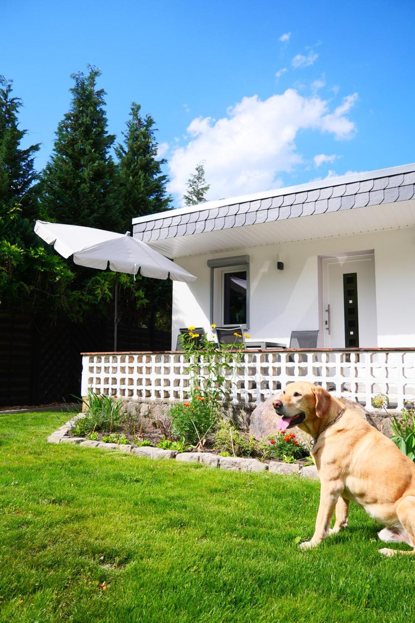 Haus Kleiner Findling Im Lausitzer Seenland Tatzschwitz Exterior photo